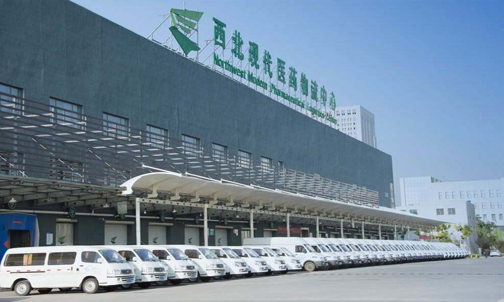 翰高博创设计为陕药集团派昂医药设计log